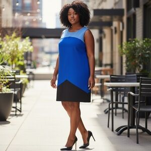 NWT Tahari Shift Dress Size 14 Blue Black Color Block